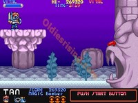 une photo d'Ã©cran de Mega Twins sur Arcade